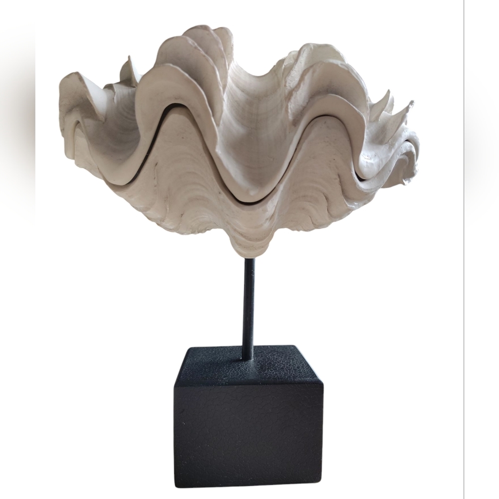 TMS Clamshell Sculpture Gallery-Style Display